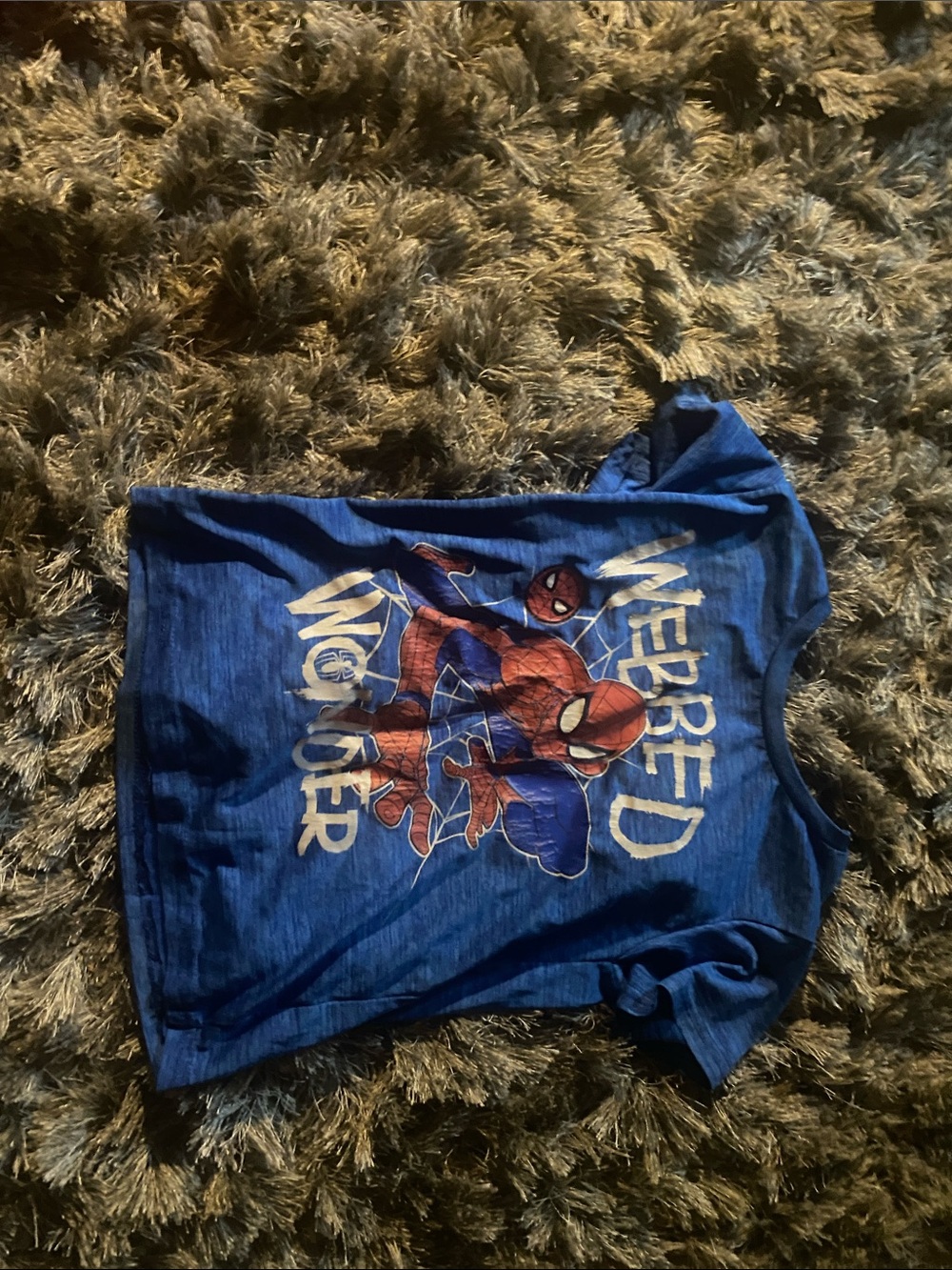 Marvel Blue Spider-Man 'Webbed Wonder' Short Sleeve Tee